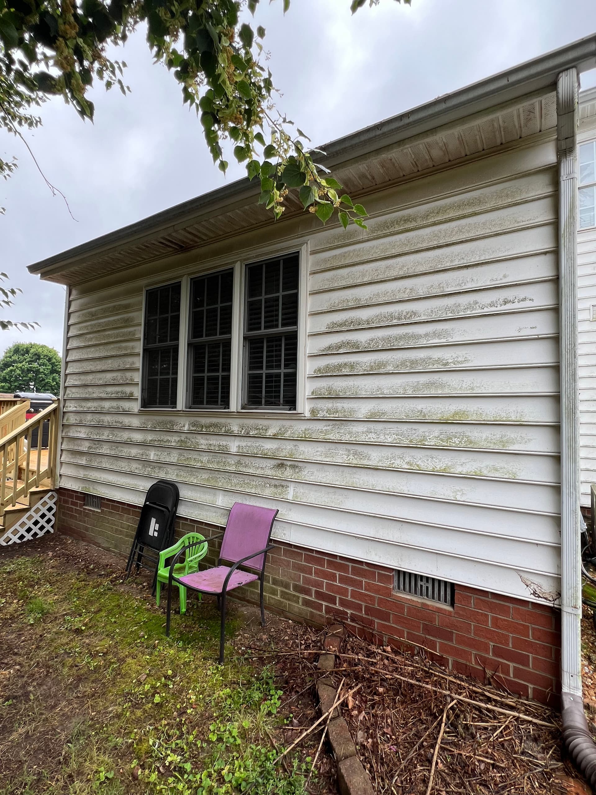 Gallery photos for Algae-Covered Siding and Grimy Walkways Get a Full Reset: Image #1