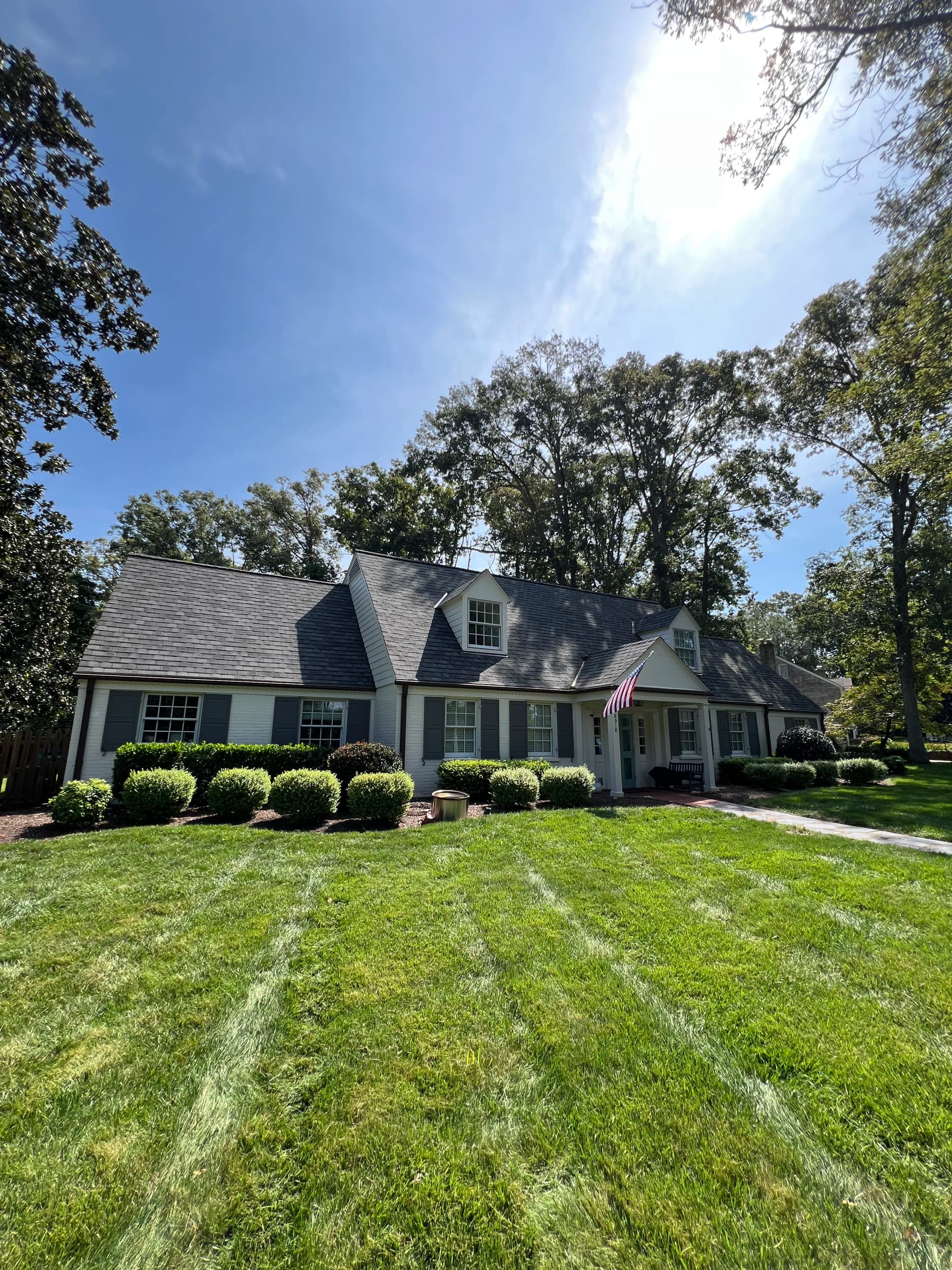 House Wash, Bluestone Patio, and Wood Fence Cleaning Done Right image