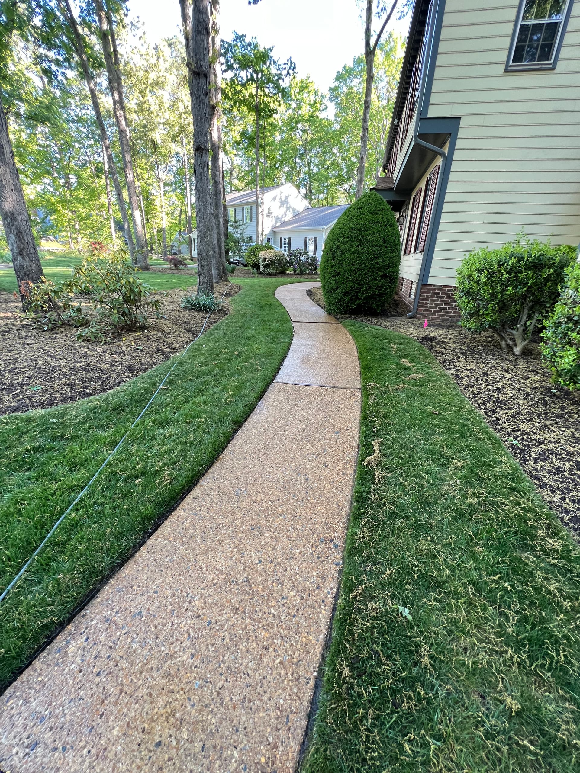 Gallery photos for Brick Steps and Walkway Cleaning at a Henrico Home: Image #3