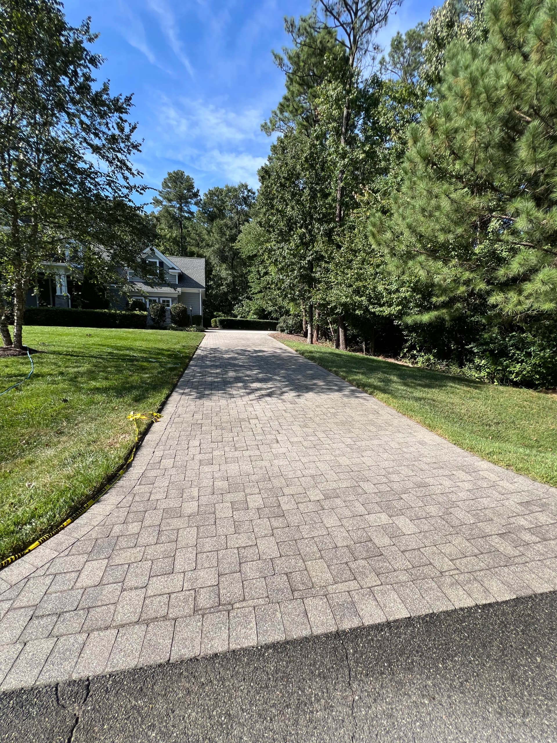 Paver Cleaning and Polymeric Sand Restoration on a Full Hardscape image