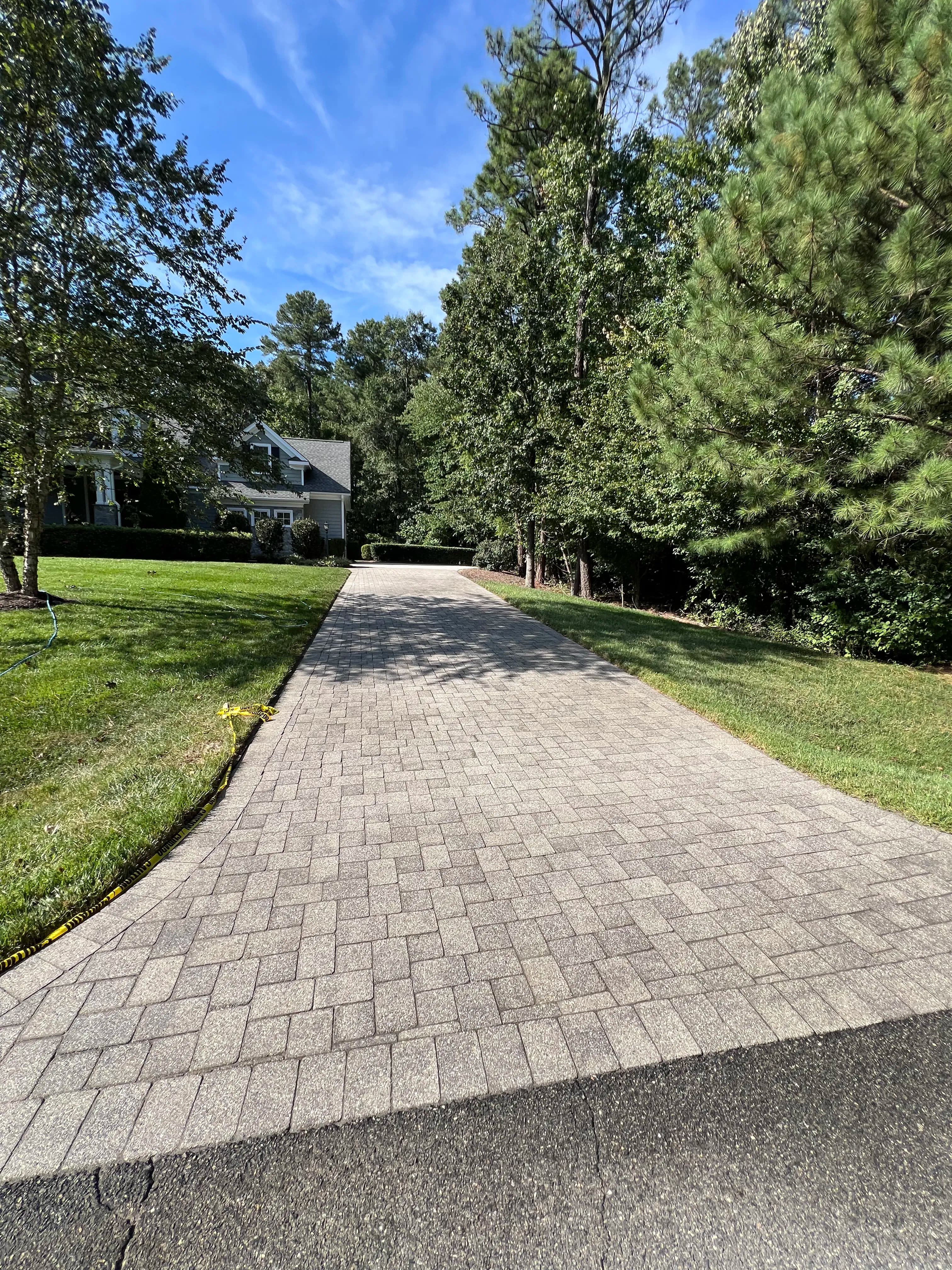 Project Paver Cleaning and Polymeric Sand Restoration on a Full Hardscape image