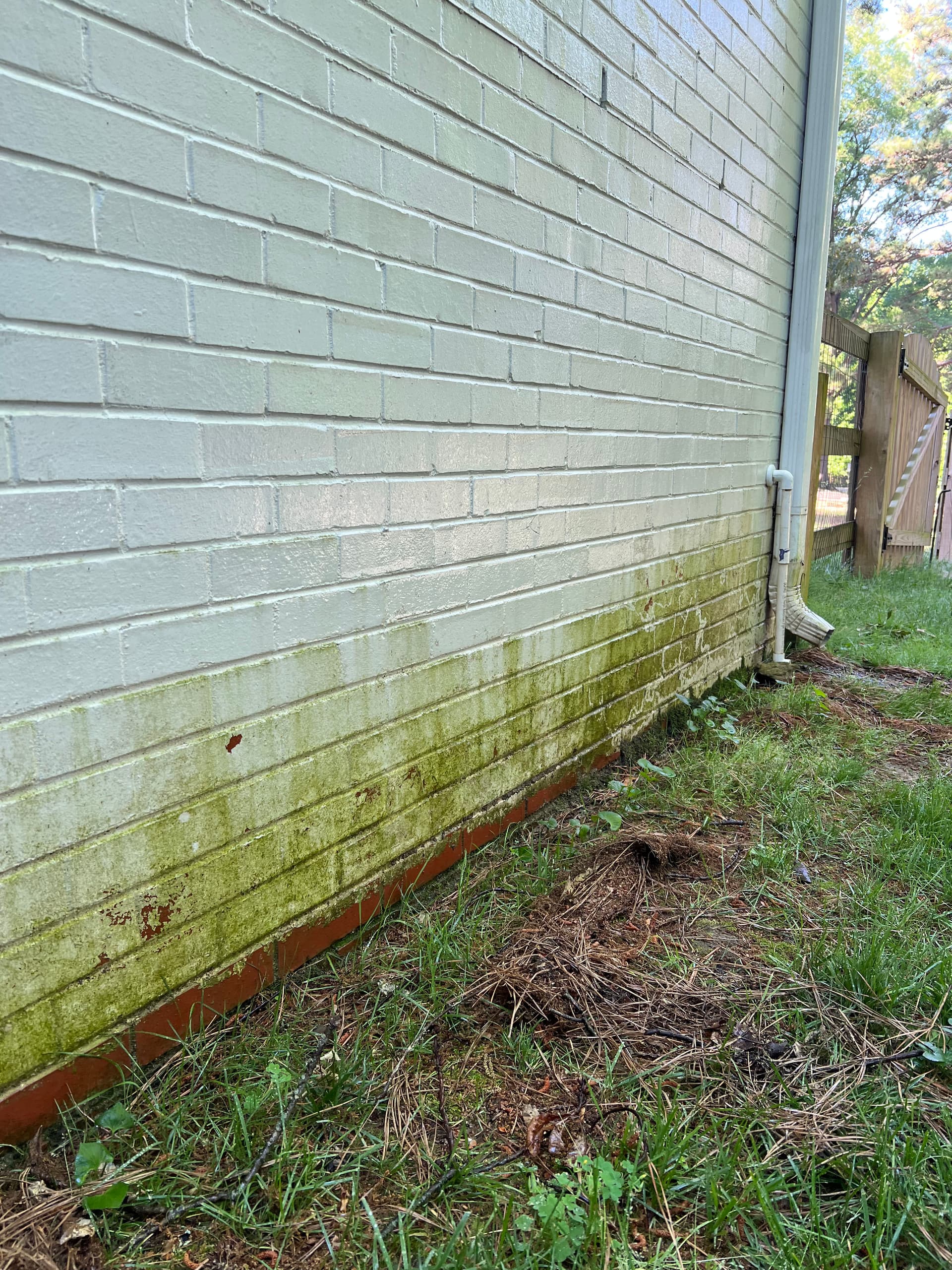 Gallery photos for Algae-Covered Brick Gets a Clean Start with House Washing: Image #1