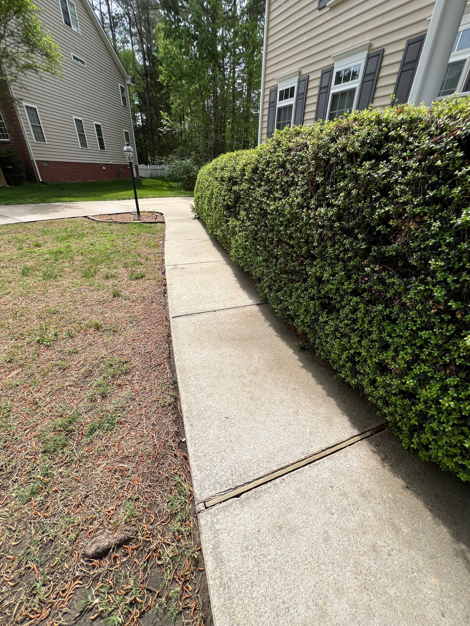Gallery photos for Full Exterior Clean - House Wash Driveway Sidewalk and Stamped Concrete: Image #4