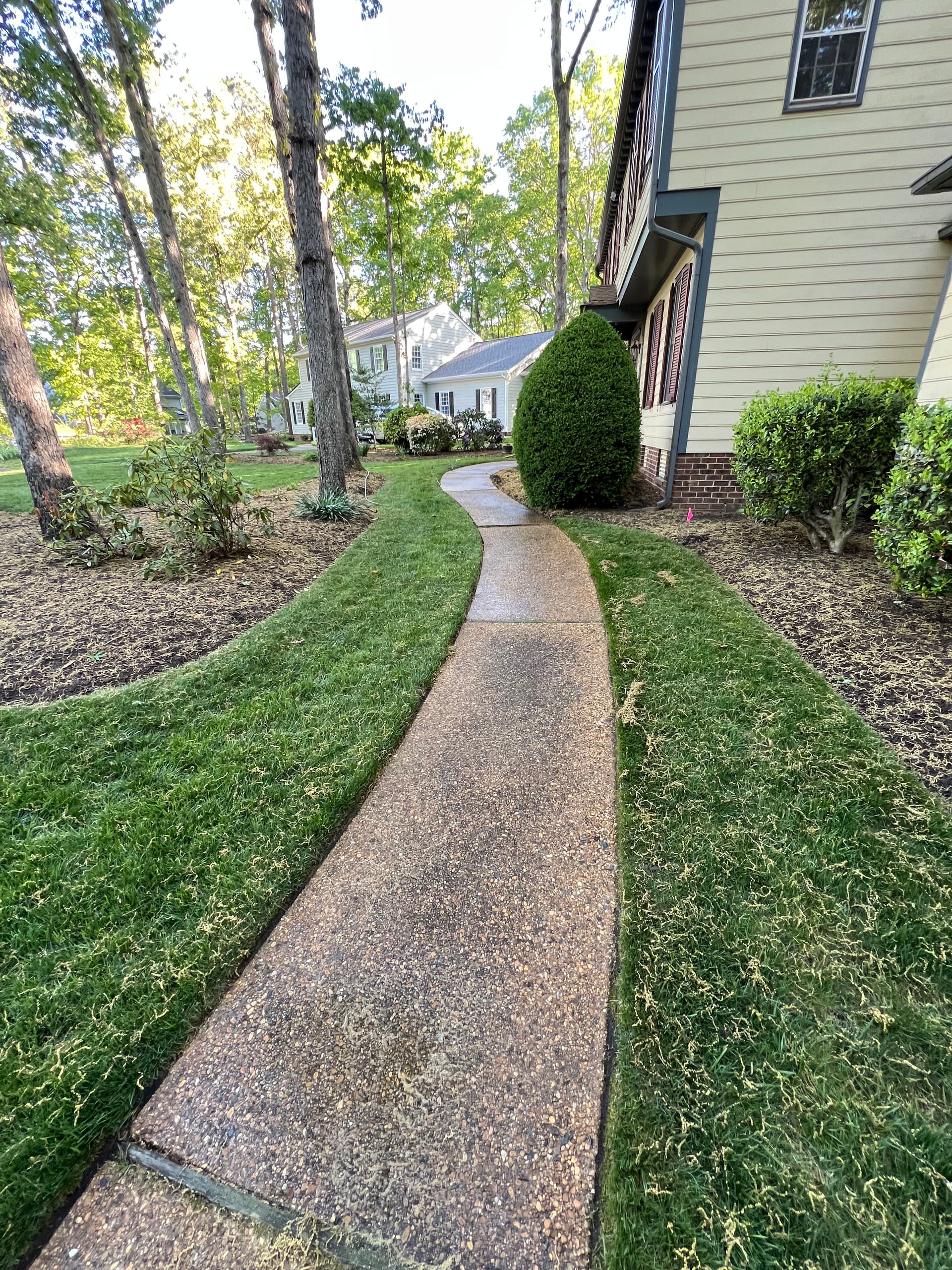 Gallery photos for Brick Steps and Walkway Cleaning at a Henrico Home: Image #2