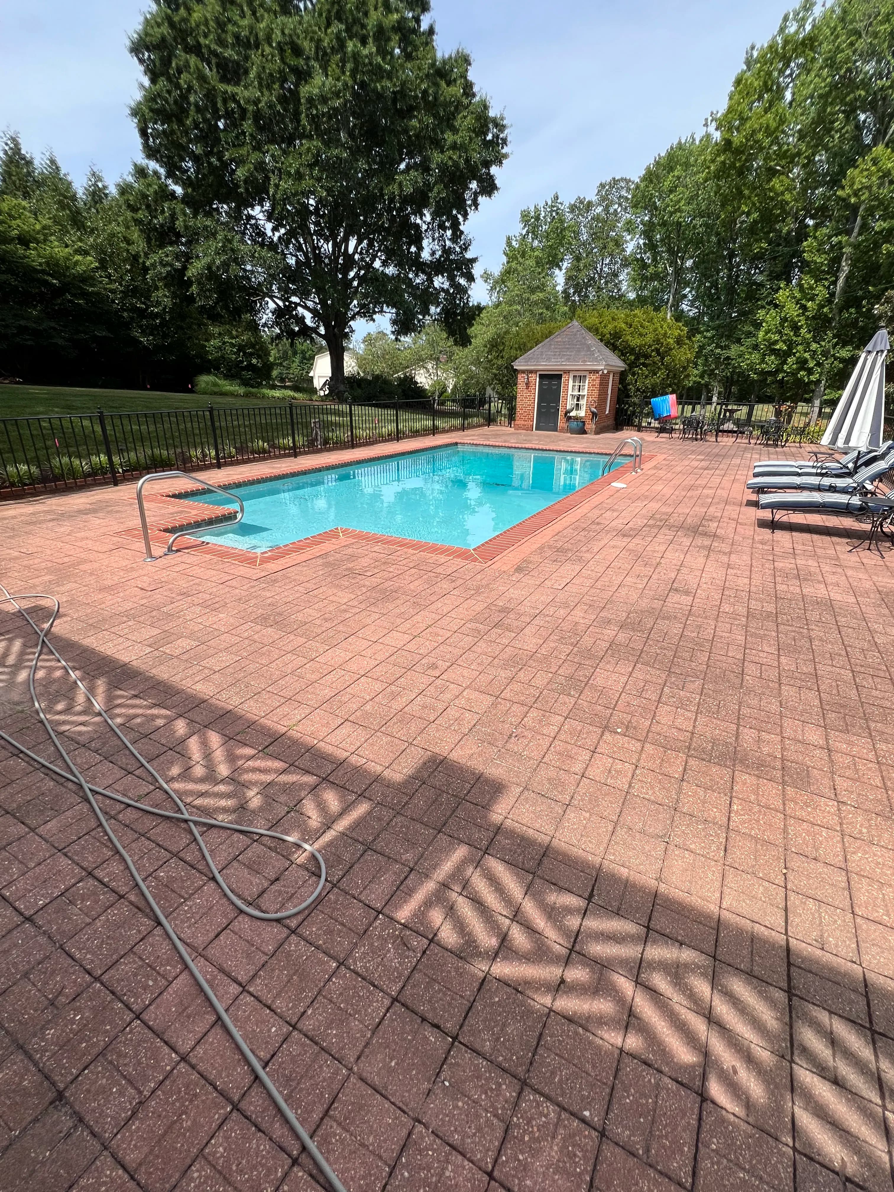 Project Soft Wash on a Paver Pool Patio That Needed a Reset image