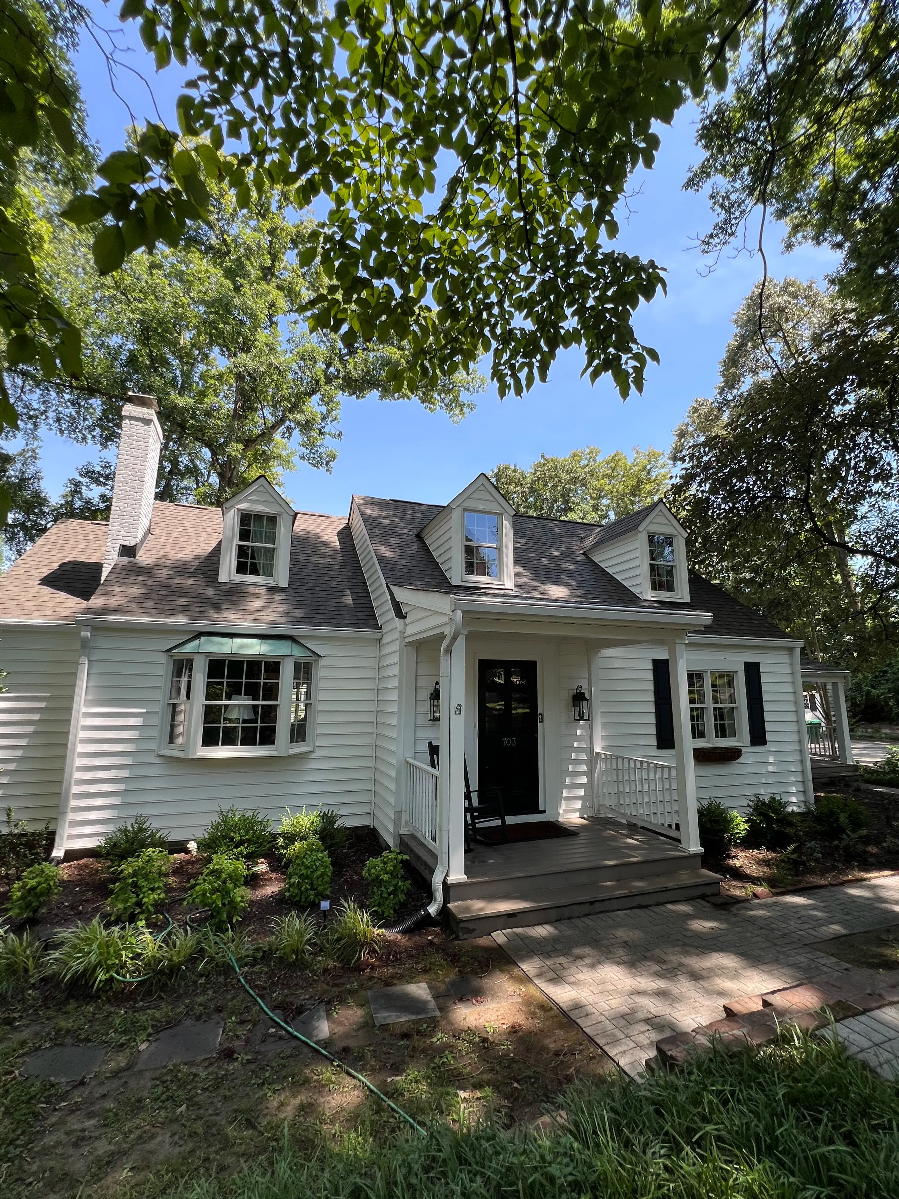 Project Roof Debris Removal and Full House Wash in Richmond image