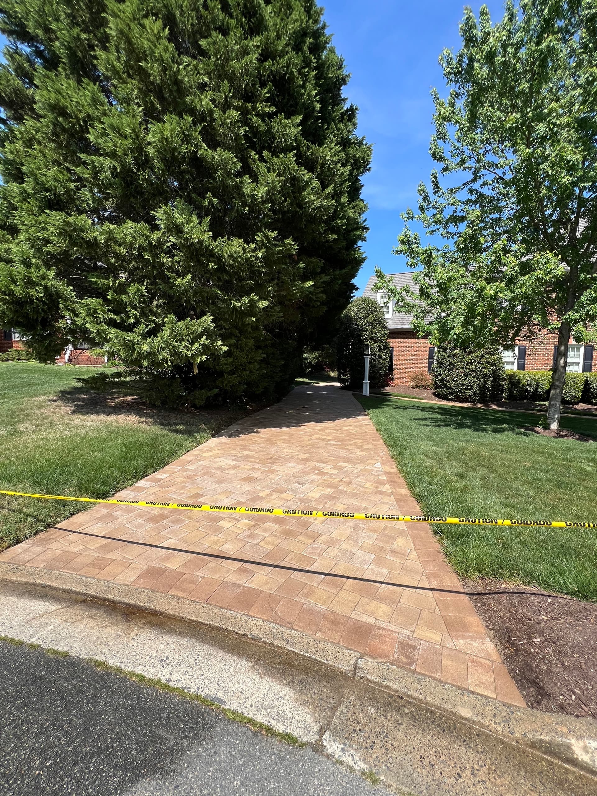 Paver Driveway Restoration With Polymeric Sand and Surface Cleaning image