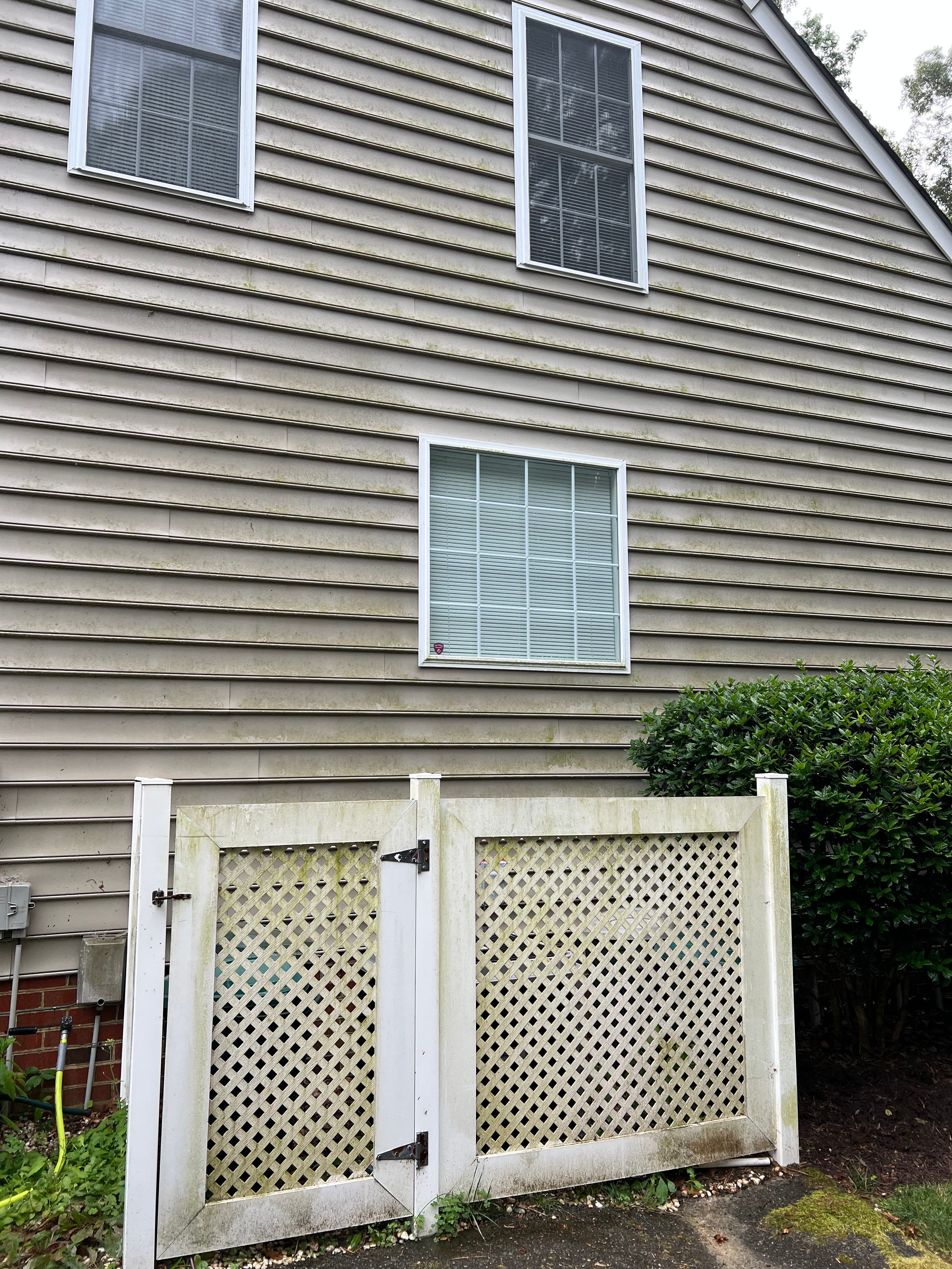 Project Algae-Covered Siding and Shed Get a Full House Washing Reset image