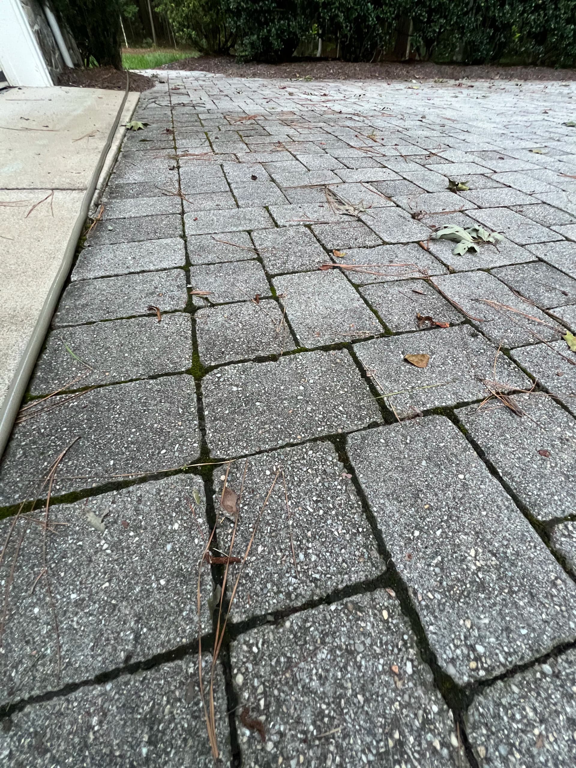 Gallery photos for Paver Cleaning and Polymeric Sand Restoration on a Full Hardscape: Image #8