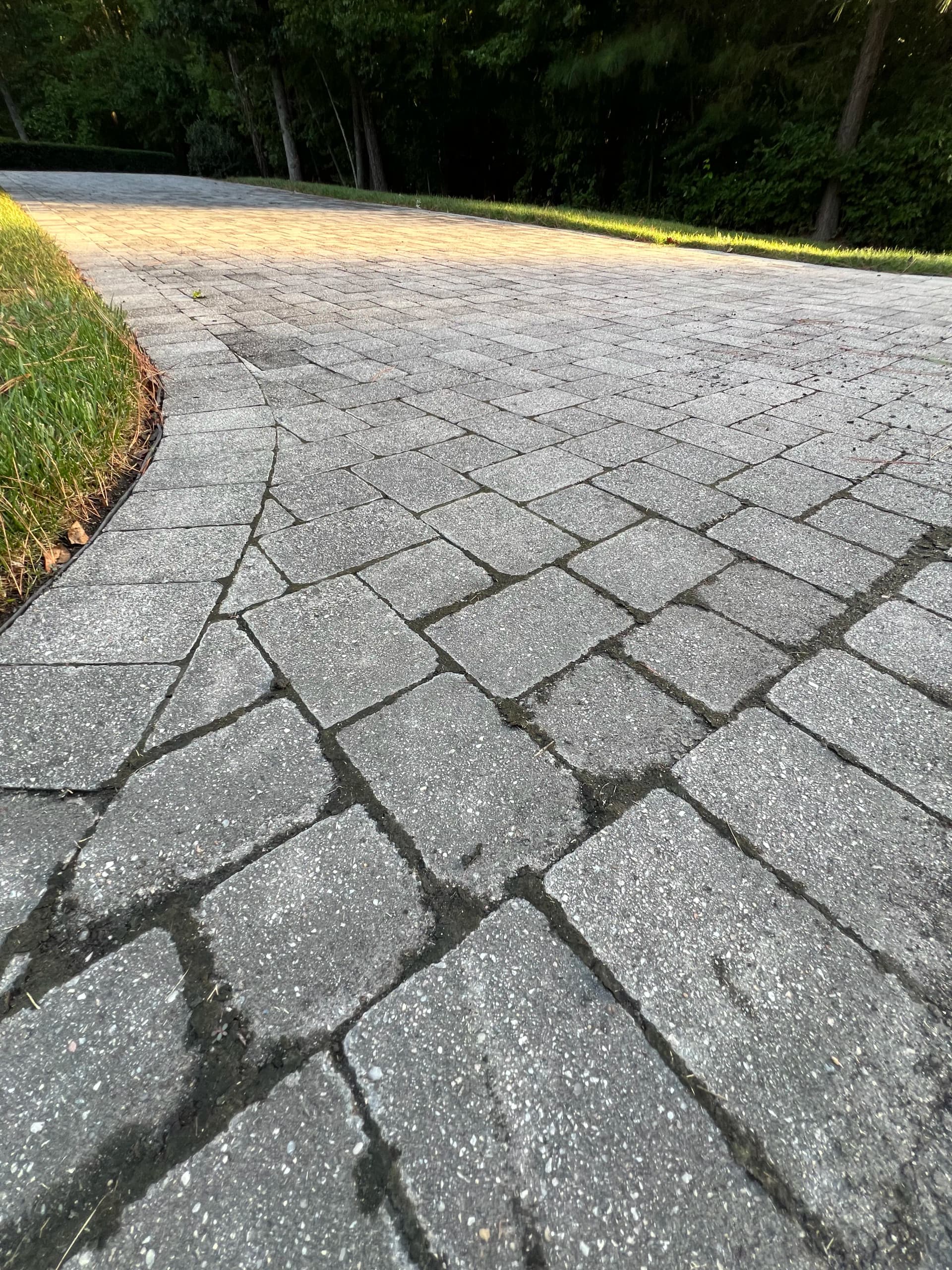 Gallery photos for Paver Cleaning and Polymeric Sand Restoration on a Full Hardscape: Image #6