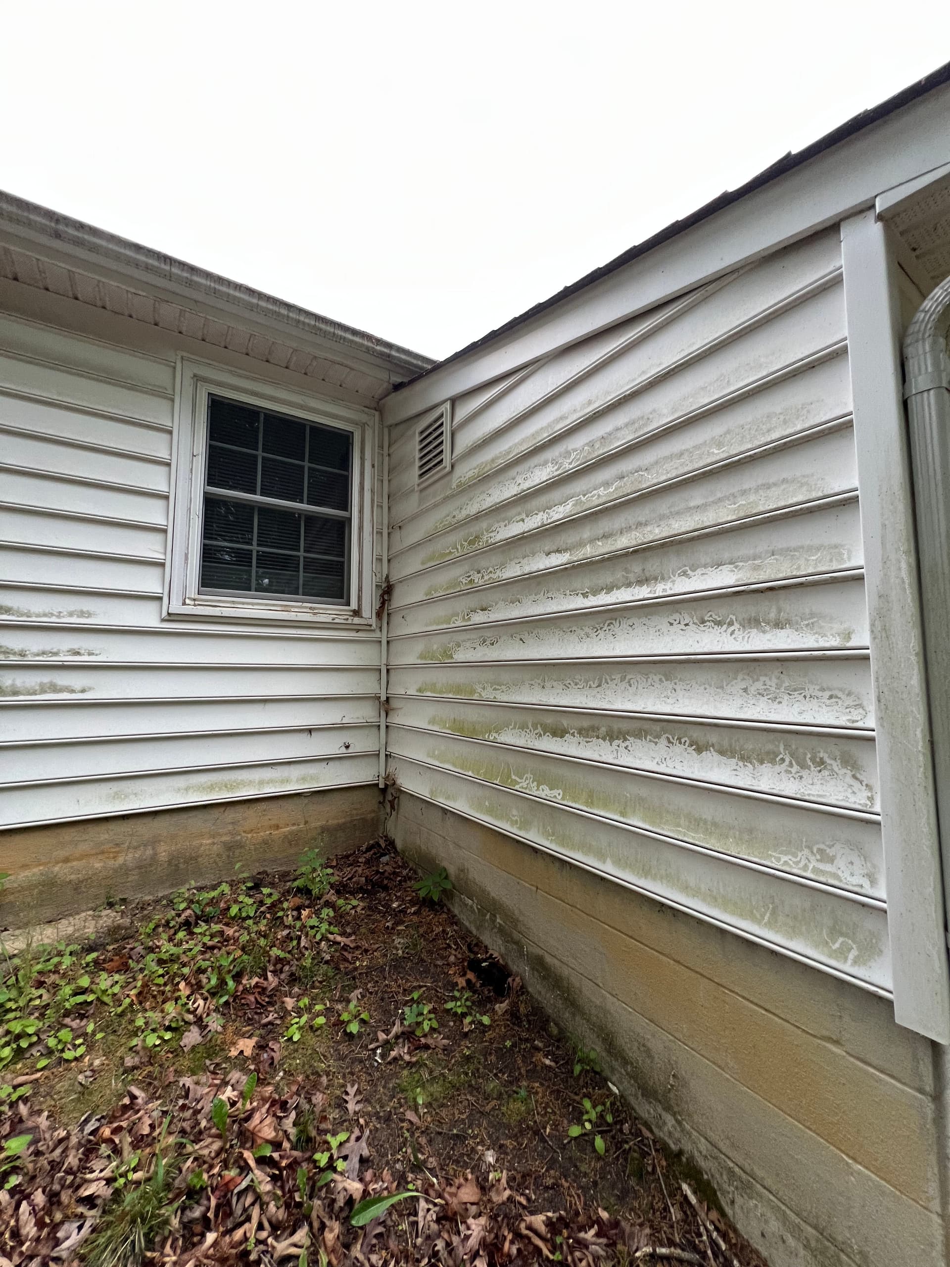 Gallery photos for House Washing and Deck Cleaning Done Right in Henrico: Image #4