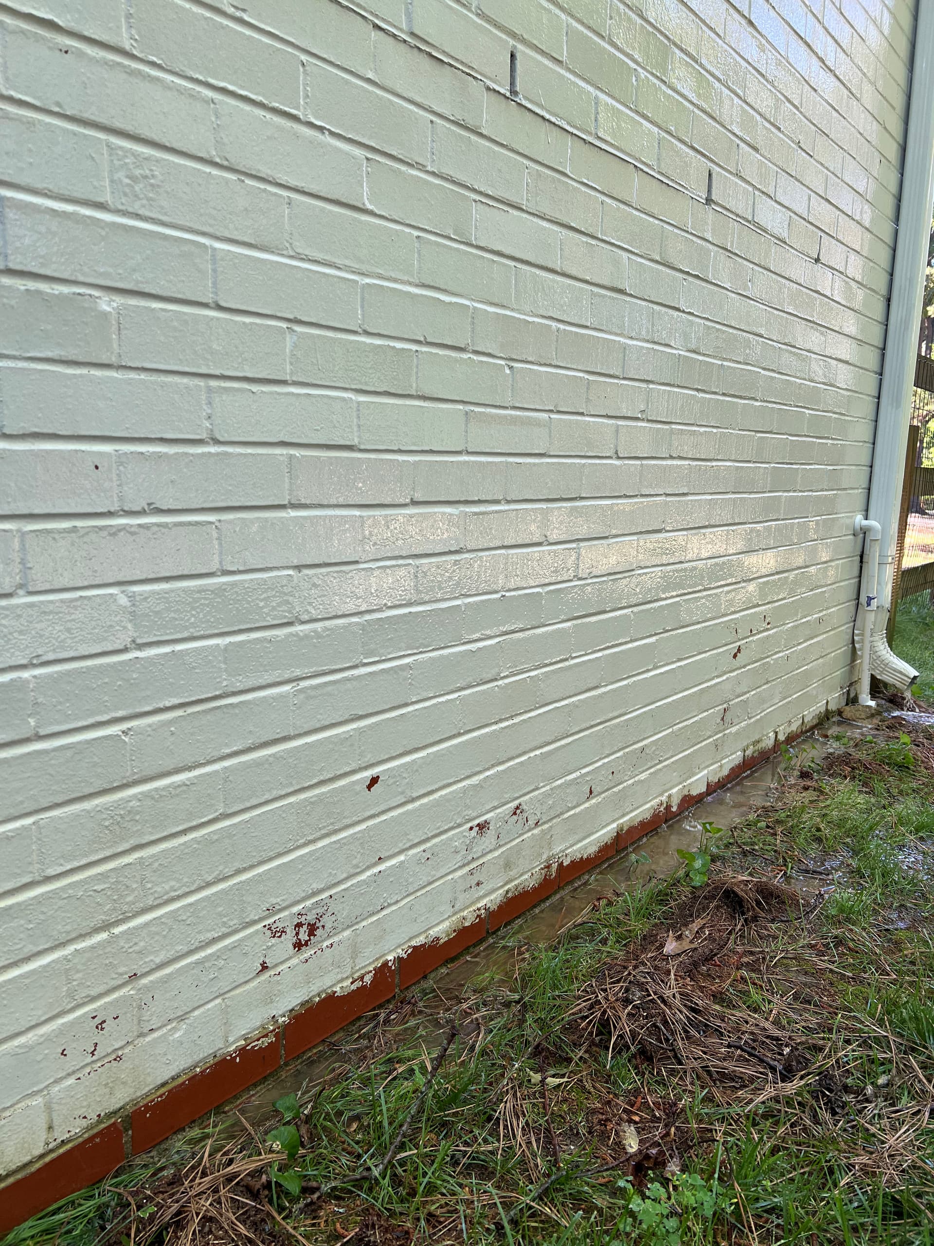 Gallery photos for Algae-Covered Brick Gets a Clean Start with House Washing: Image #2
