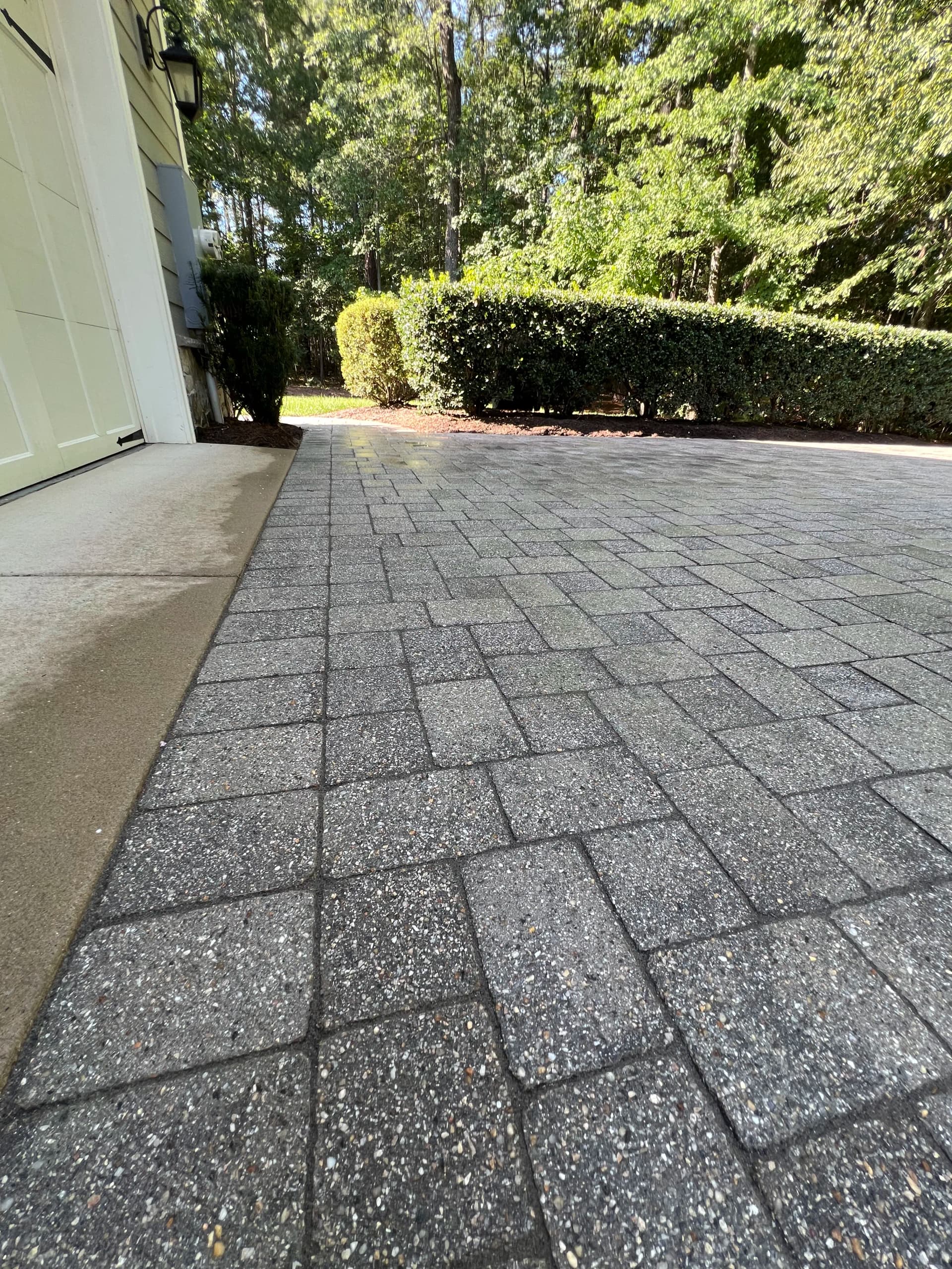 Gallery photos for Paver Cleaning and Polymeric Sand Restoration on a Full Hardscape: Image #9