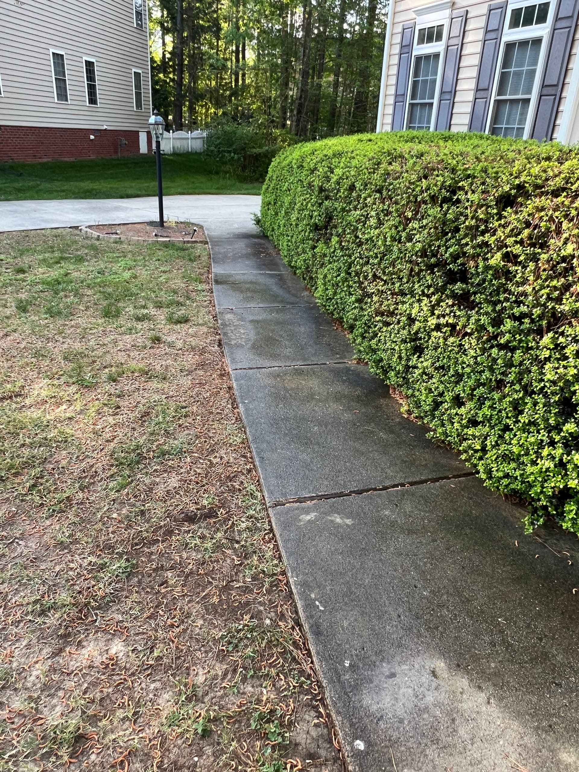 Gallery photos for Full Exterior Clean - House Wash Driveway Sidewalk and Stamped Concrete: Image #3