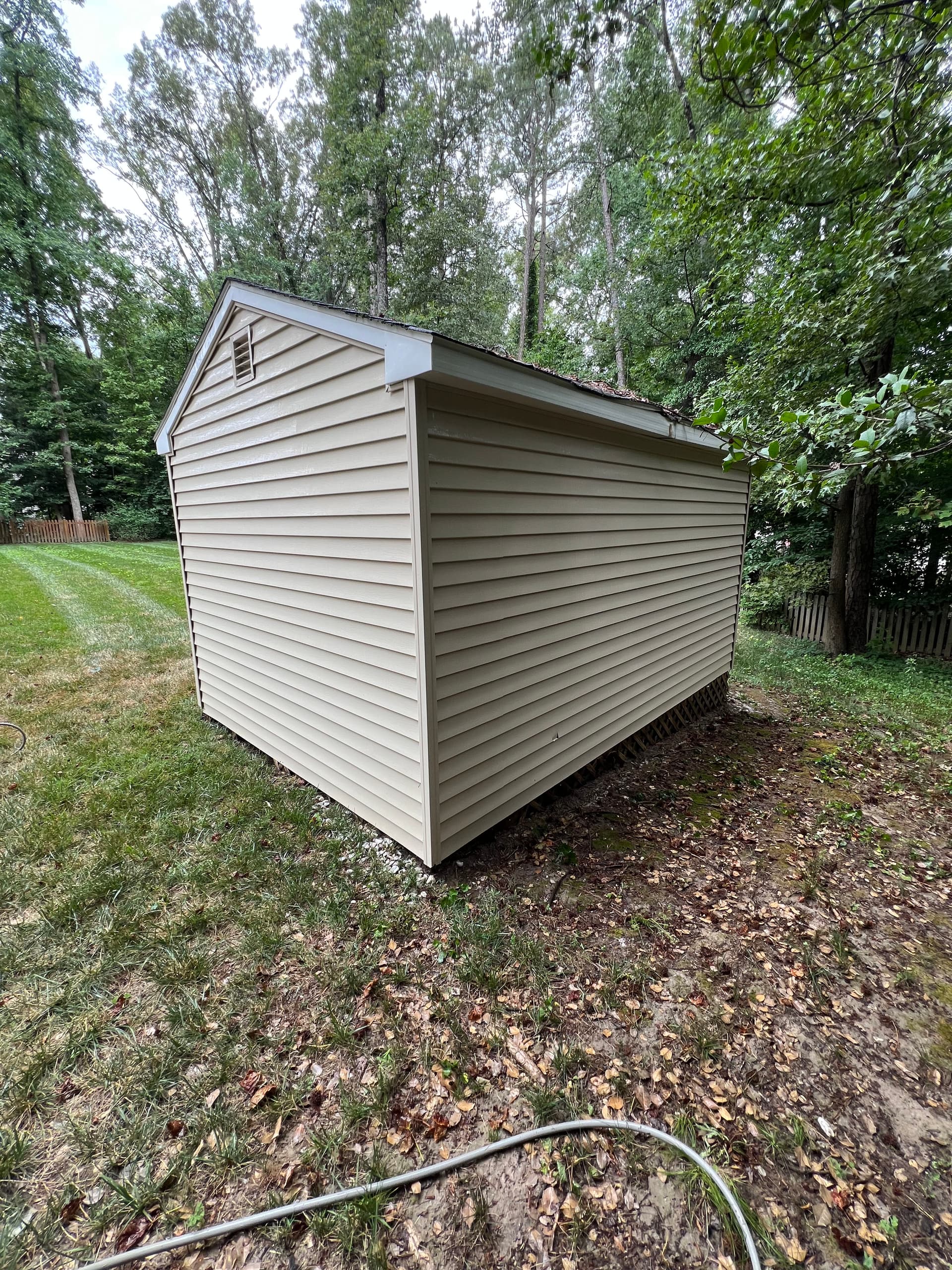 Gallery photos for Algae-Covered Siding and Shed Get a Full House Washing Reset: Image #3