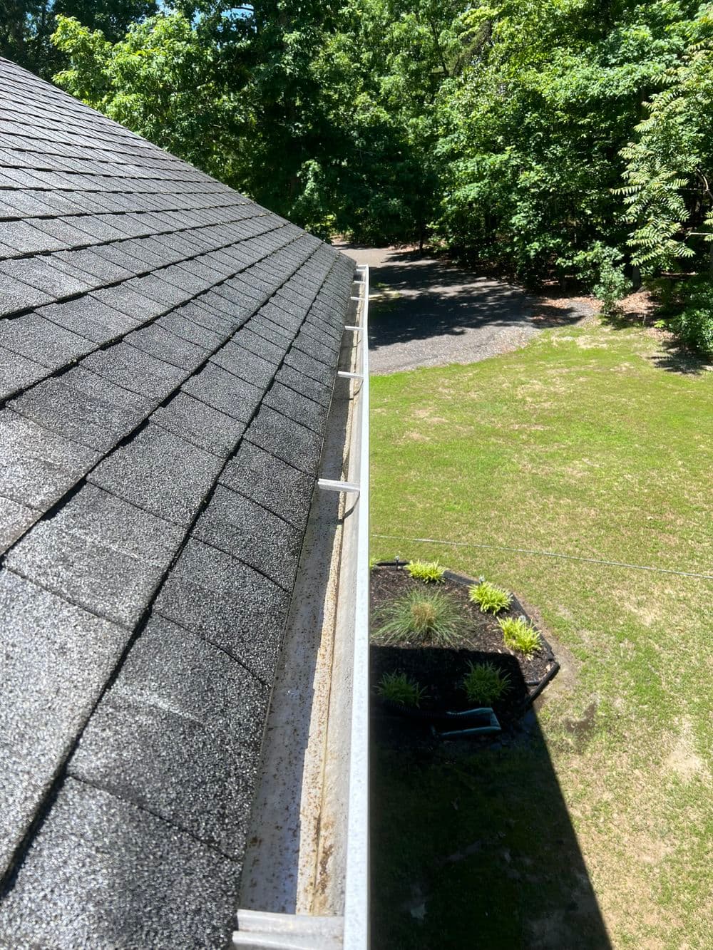 Contact form background