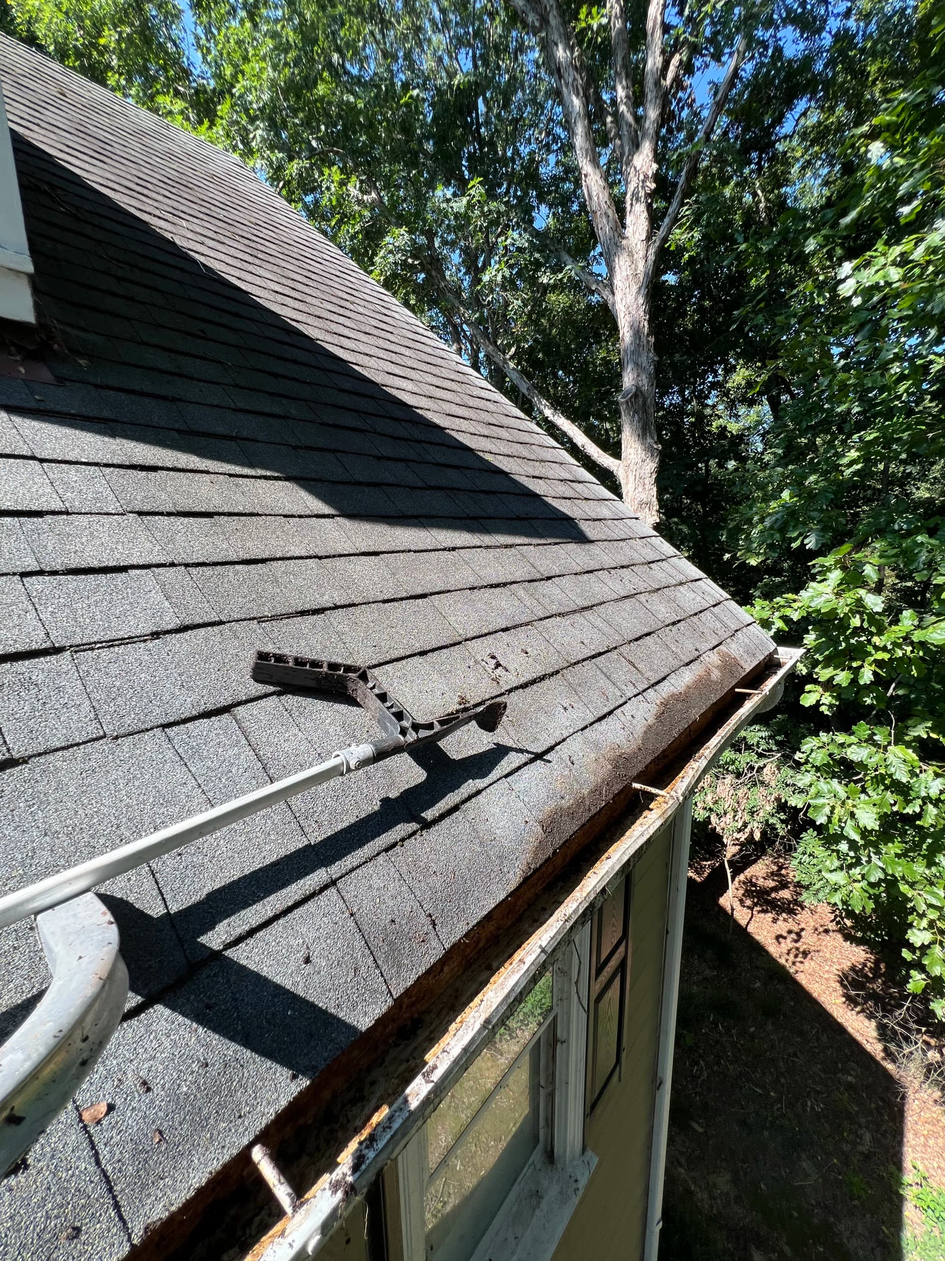 Gallery photos for Gutter Cleanout and House Wash on a Wooded Property: Image #2