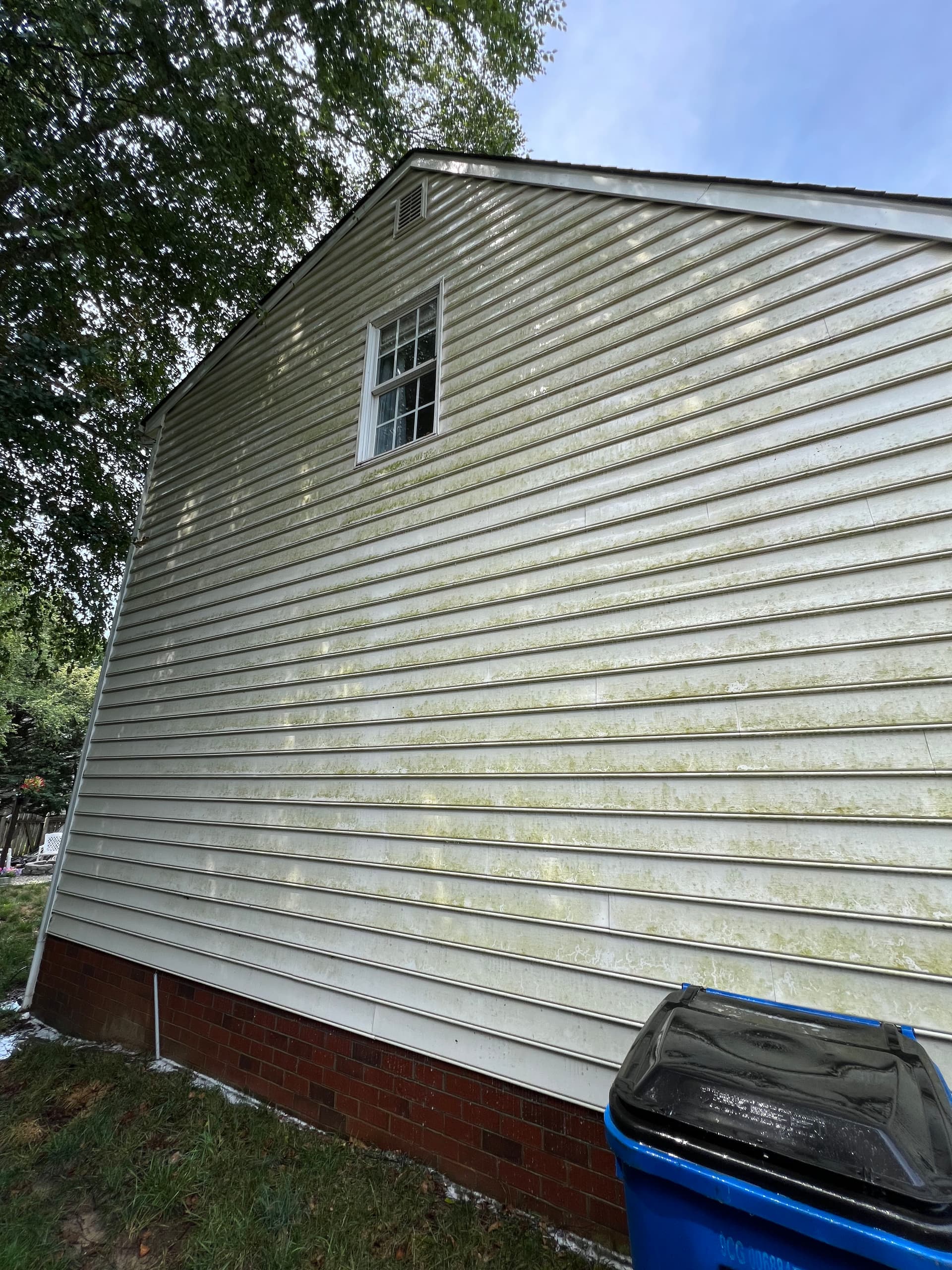 Gallery photos for Soft Wash House Washing That Actually Kills the Algae: Image #3