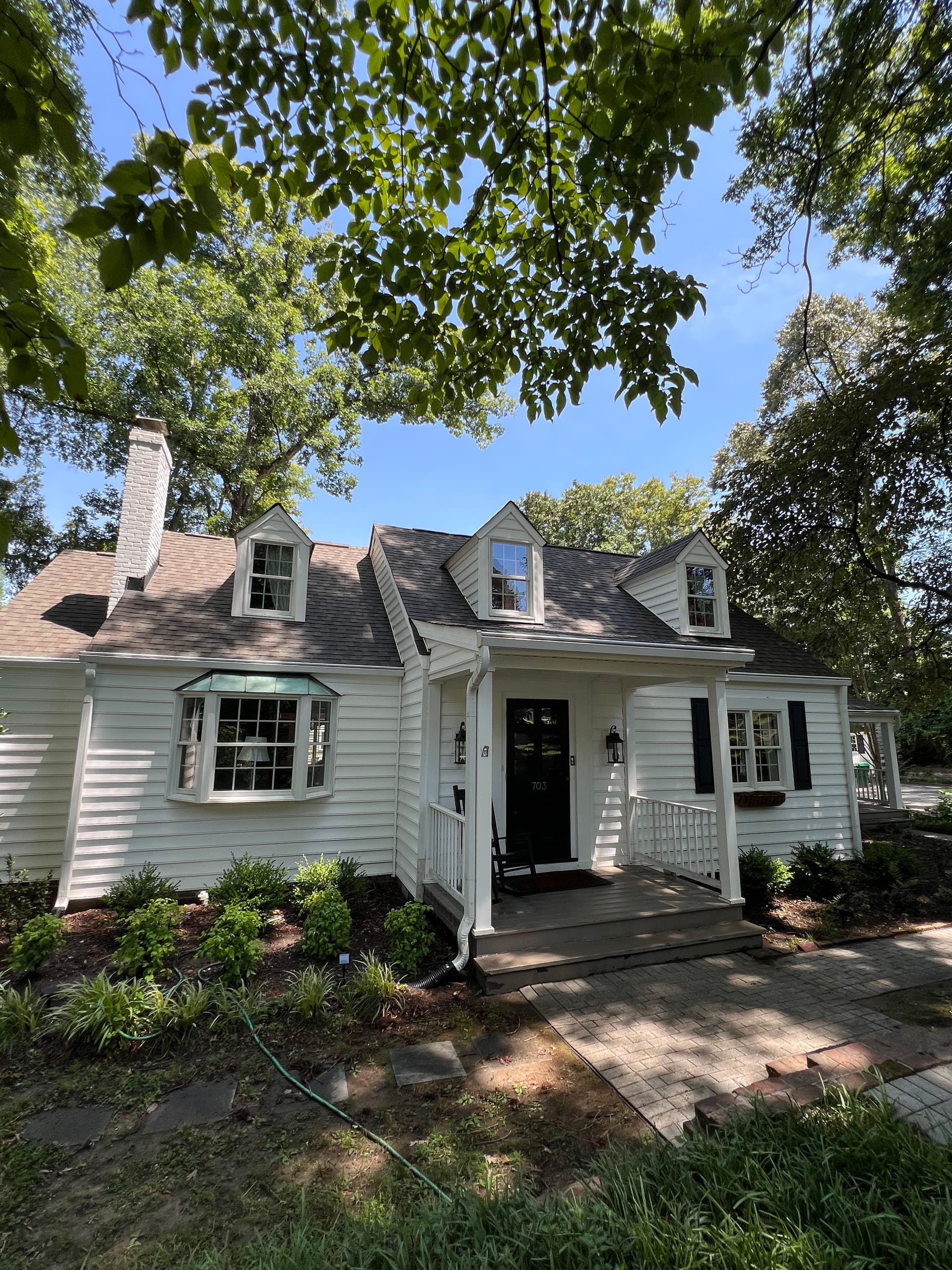 Roof Debris Removal and Full House Wash in Richmond image